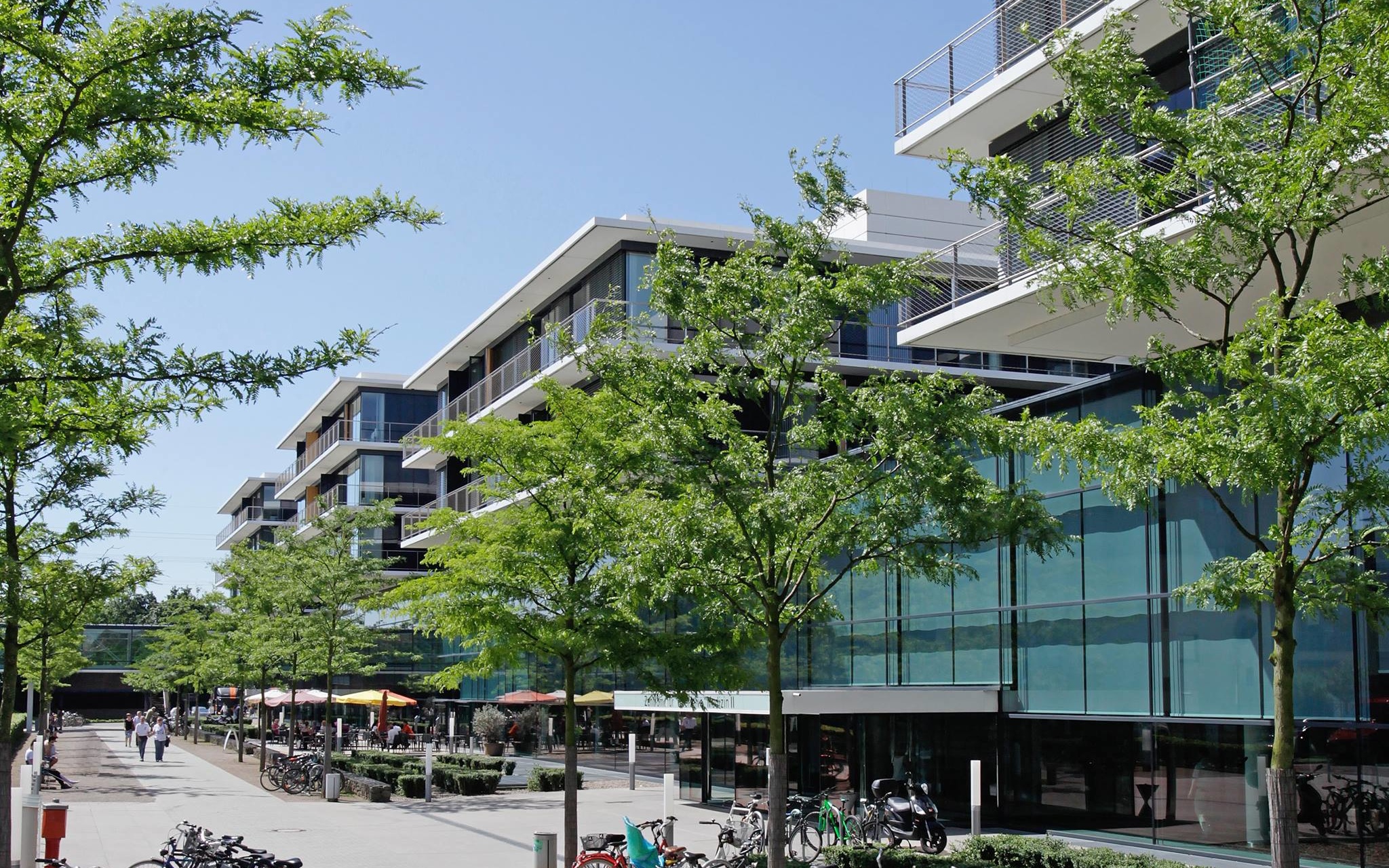 Universitätsklinikum Düsseldorf