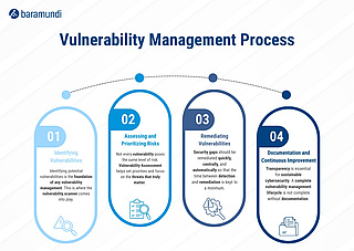 Infographic Vulnerability Management Process Infographic Vulnerability Management Process